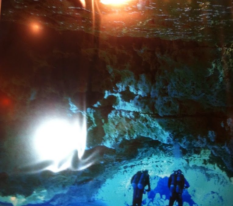 The Springs of Florida